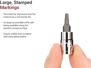 Amazon.com: TEKTON 1/4 Inch Drive Torx Bit Socket Set with